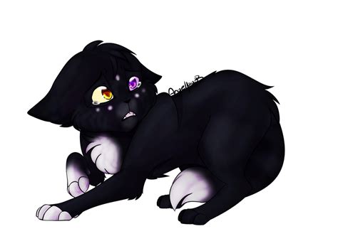 raven paw|ravenpaw personality.